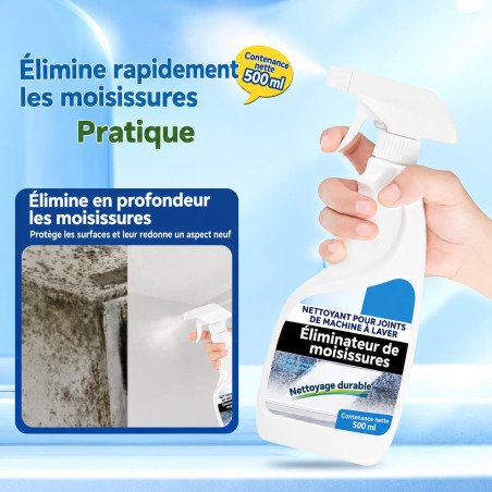 SPRAY ANTI MOISISSURES NITRIX